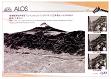 ALOS